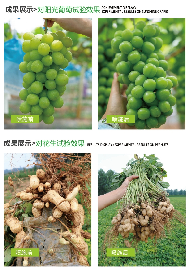微生物菌剂