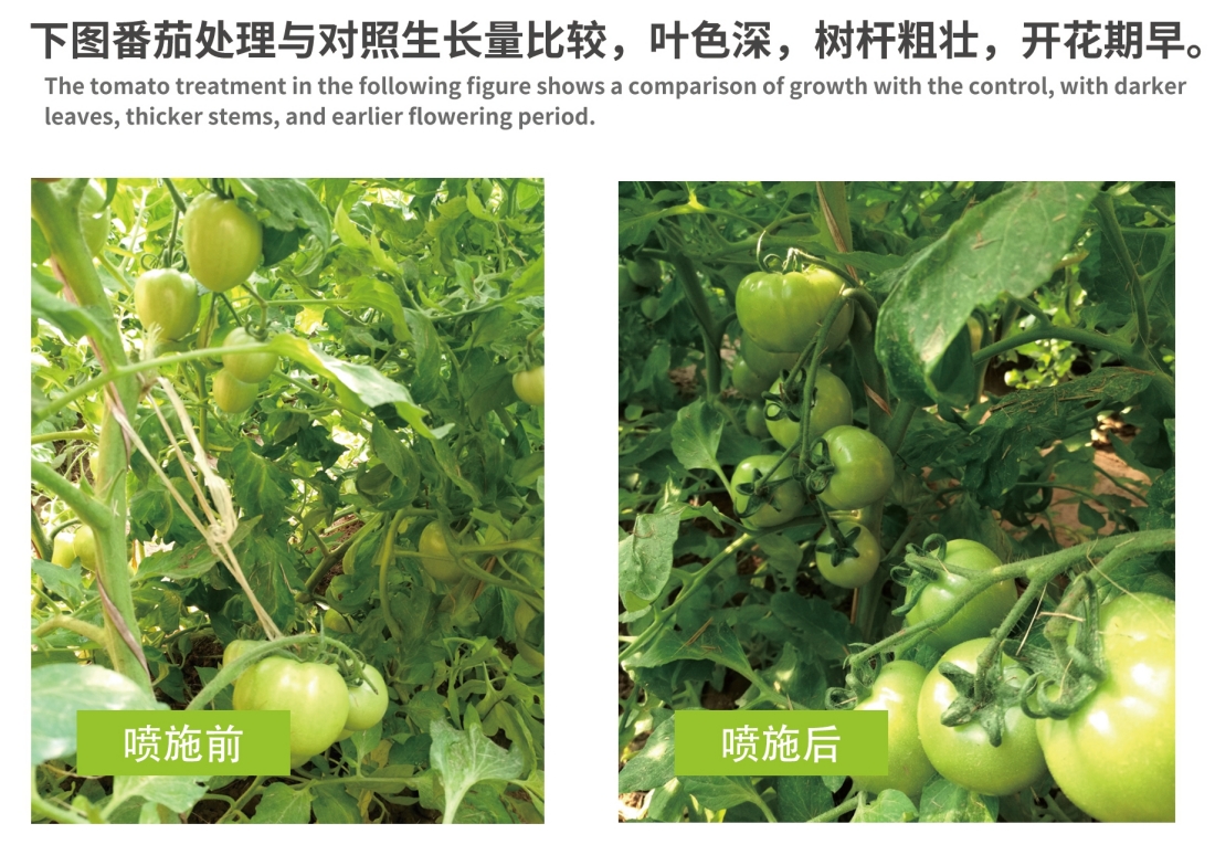 ZH40-41 - 副本.jpg