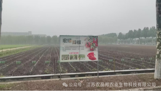 微信图片_2025-07-07_163159_168.png